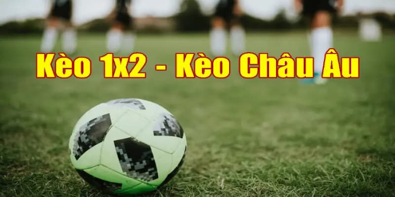 Cách đọc và phân tích kèo Châu Âu tại F8BET