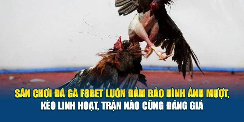 Chiến thuật tối ưu khi chơi đá gà F8BET